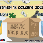 Animation et dédicaces des jeux Une Histoire Extraordinaire et Surf and Cats au festival Ambazac Terre de Jeux (87)